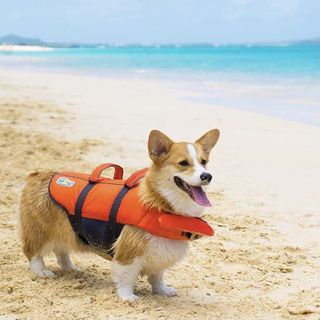 （分類：）位於 。 由 chingchingchchch 提交（商品編號 1104368733，圖片 1）。簡介： 。