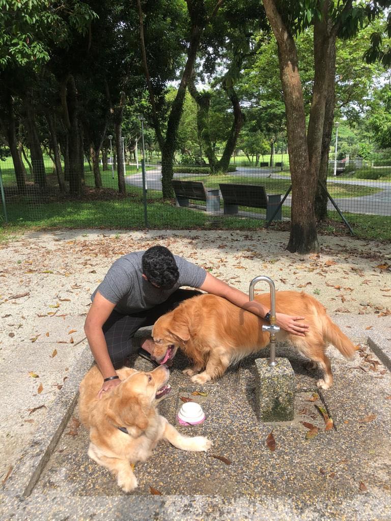 Personal dog trainers new arrivals