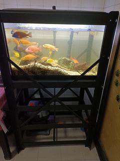 (Category: ) located in . Submitted by shan85 (Listing ID 1104429971, Image 1). Description: .