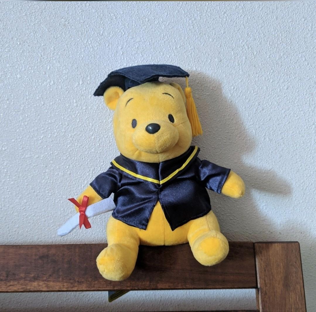 Winnie the shop pooh graduation bear