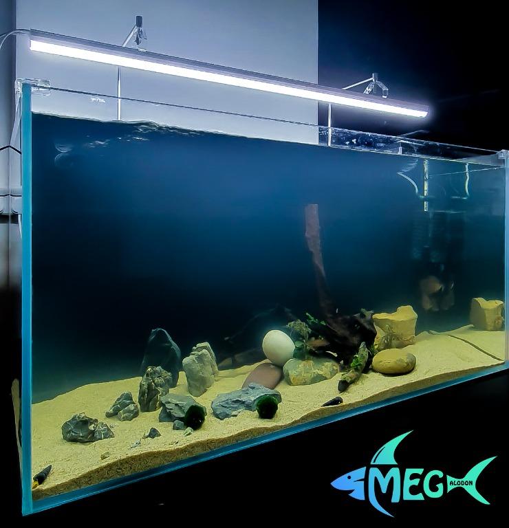Supreme deals fish tank