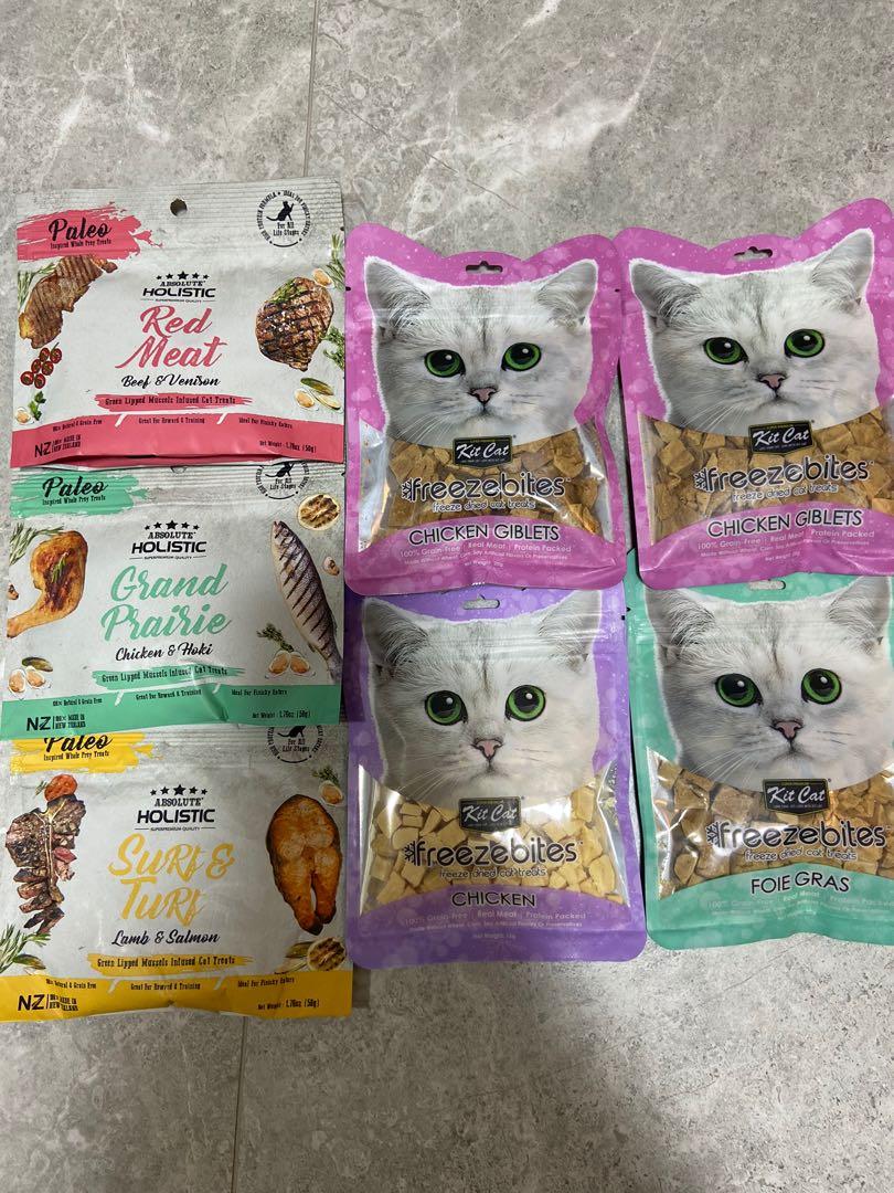 absolute holistic cat