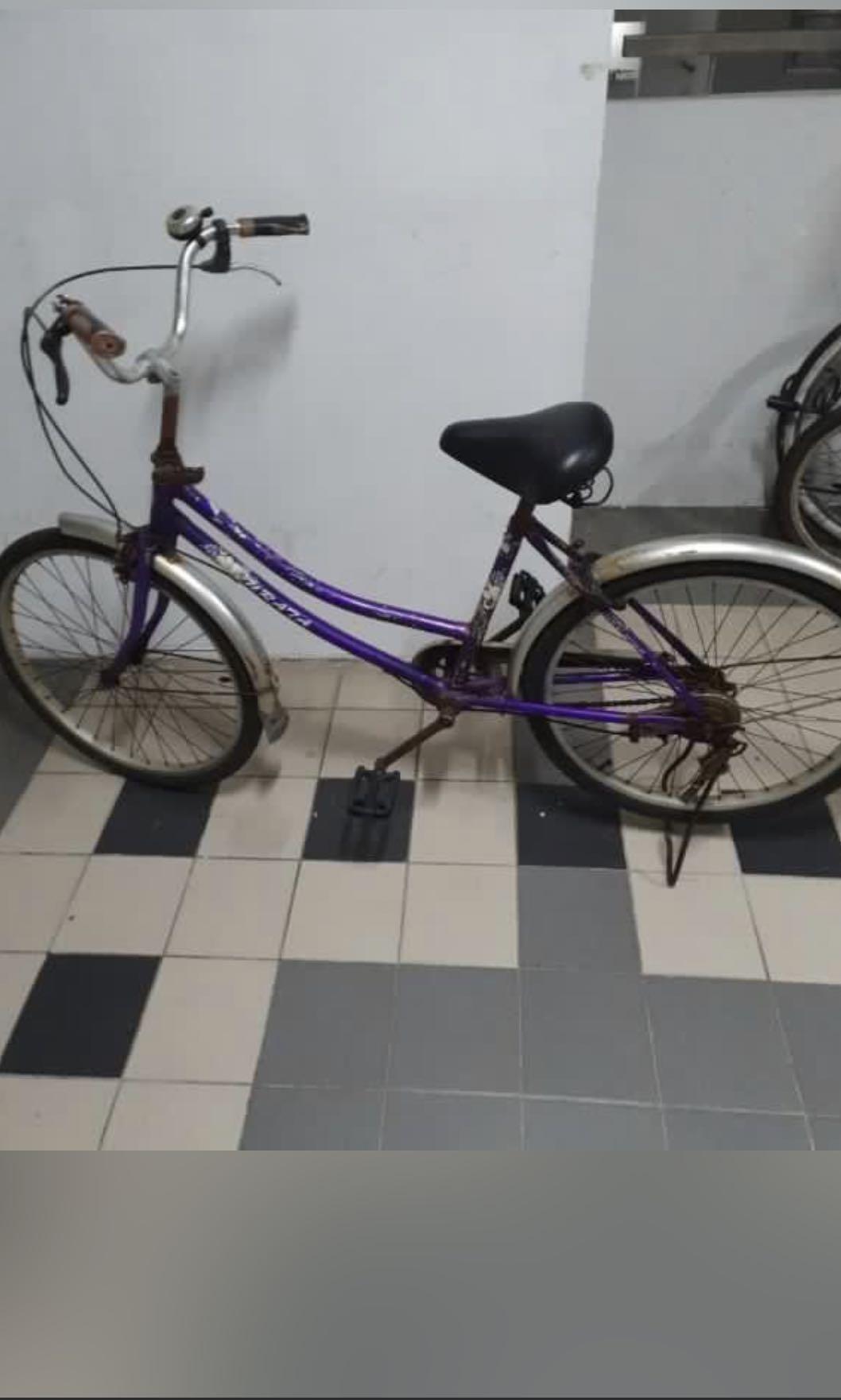Olx cycle ladies clearance