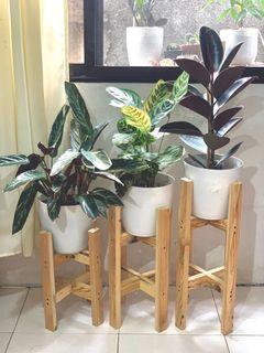 Plant stand set