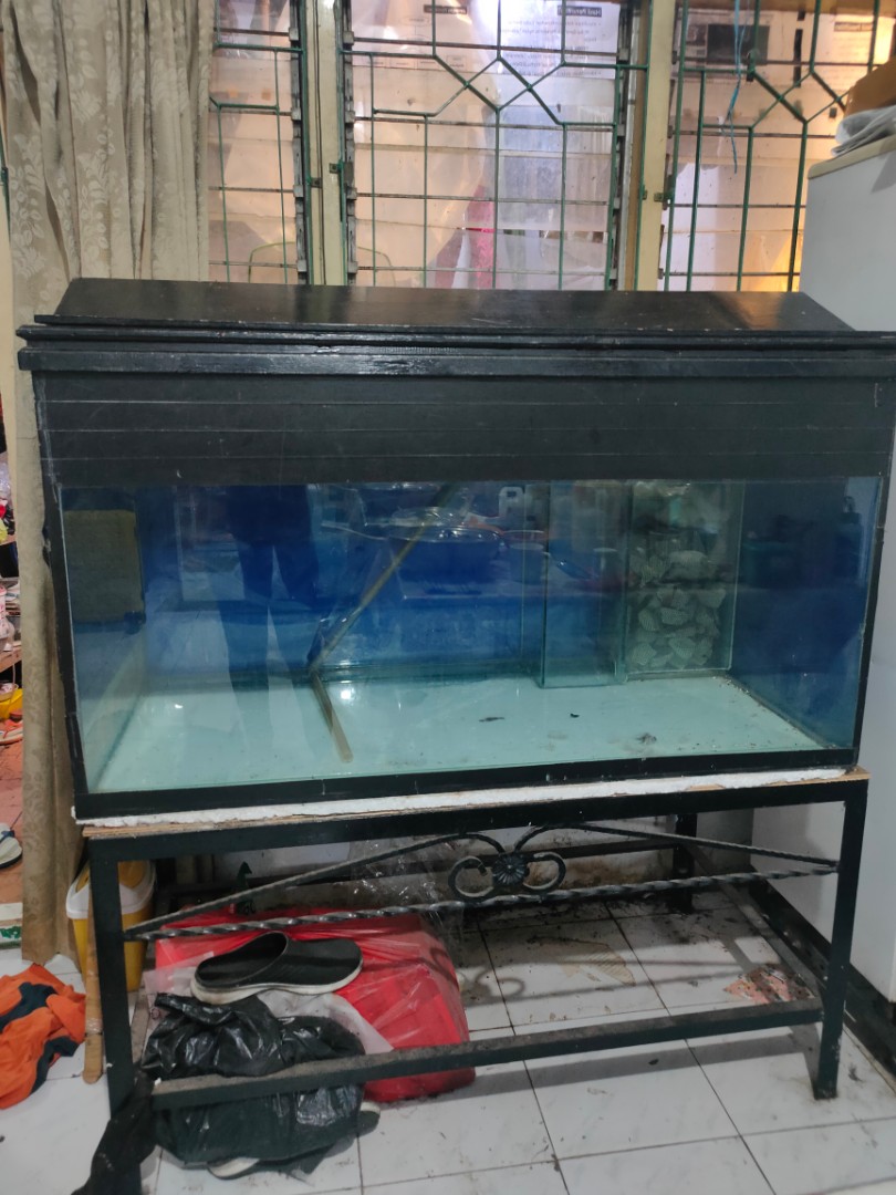 Aquarium Arwana Perlengkapan Hewan Aksesoris Hewan Di Carousell Aquarium arwana filter bawah