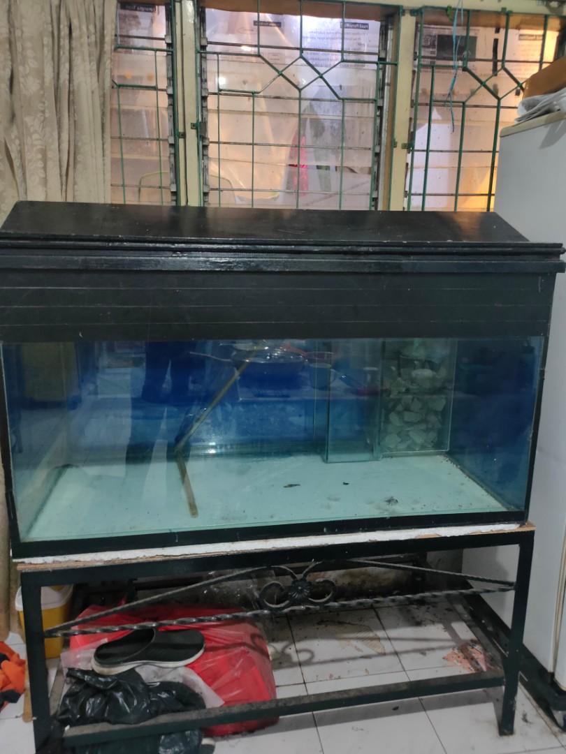 Aquarium Arwana Perlengkapan Hewan Aksesoris Hewan Di Carousell Jual aquarium bekas arwana Aquarium Arwana Perlengkapan Hewan Aksesoris Hewan Di Carousell Jual aquarium bekas arwana