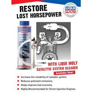 CATALYTIC SYSTEM CLEANER