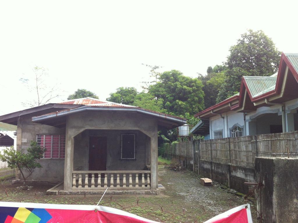Cuyapo Bayan, Nueva Ecija, Property, For Sale, House & Lot on Carousell