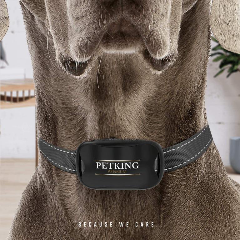 F1110 PETKING PREMIUM Anti Bark Collar for Small Large Dogs No