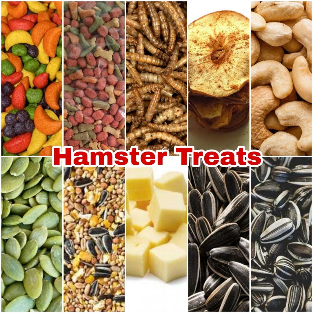 Hamster food treats discount