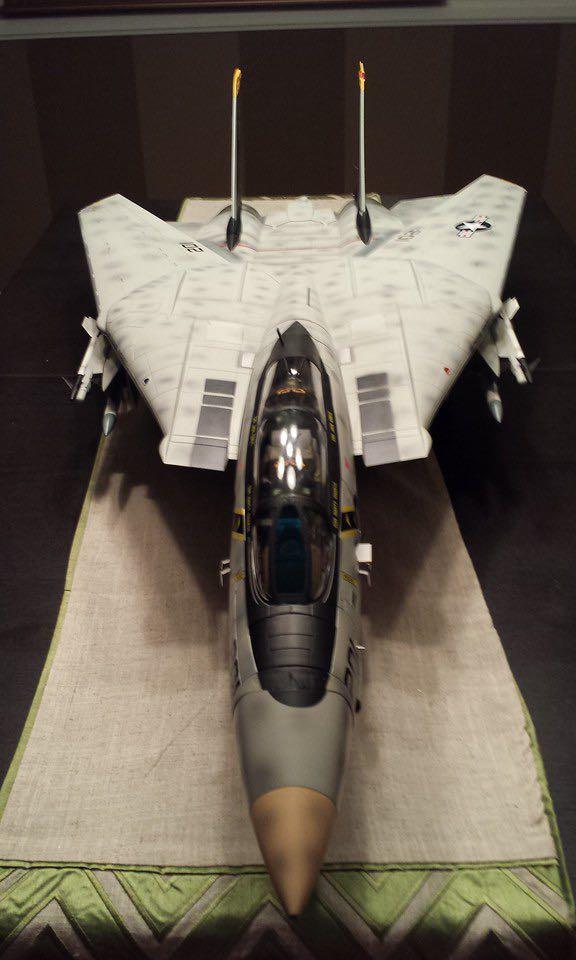 Merit international JSI 118 scale F14 tomcat, Hobbies & Toys, Toys