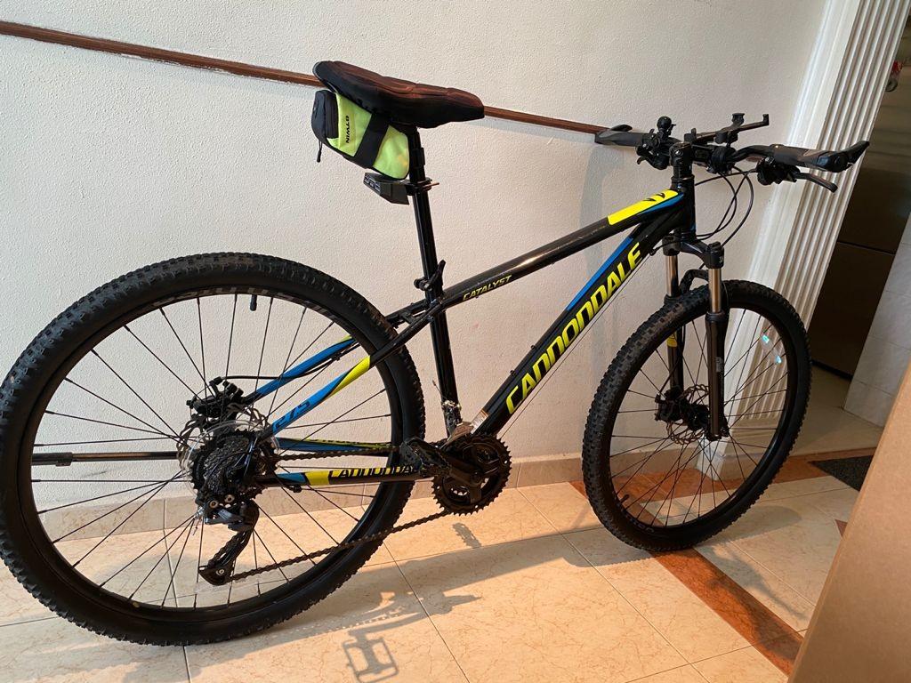 Cannondale catalyst 4 2025