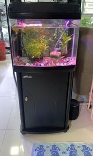 (Category: ) located in . Submitted by eskimojoe (Listing ID 1106739269, Image 1). Description: .