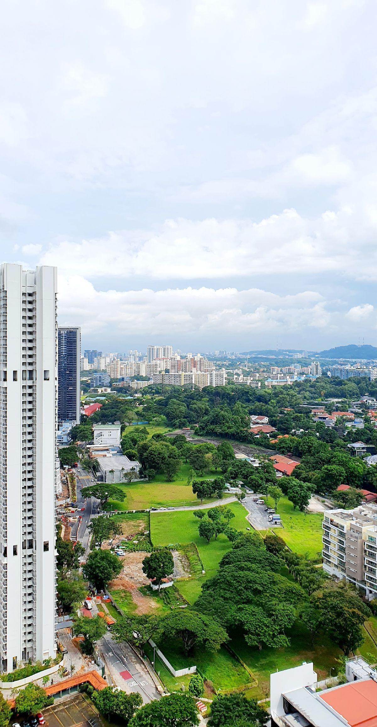 88 Dawson Road Storey 4x Prime District HDB With Amazing Views. Cheap