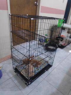 Cat cage collapsible