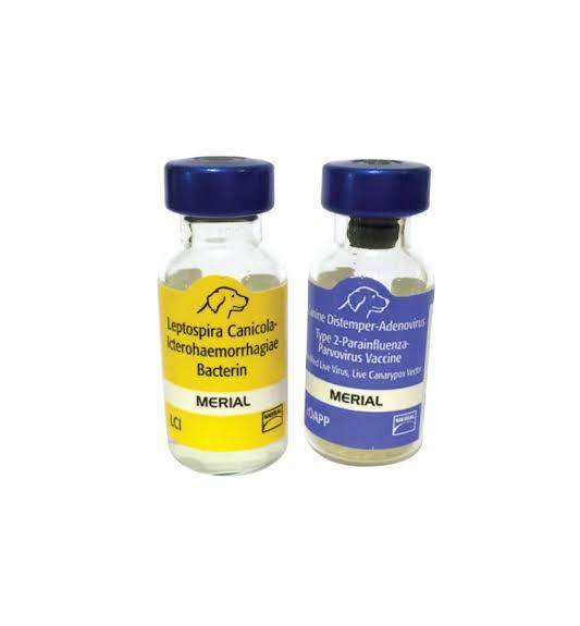 Dog vaccine 5 in 1 Pet Supplies Homes Other Pet Accessories on