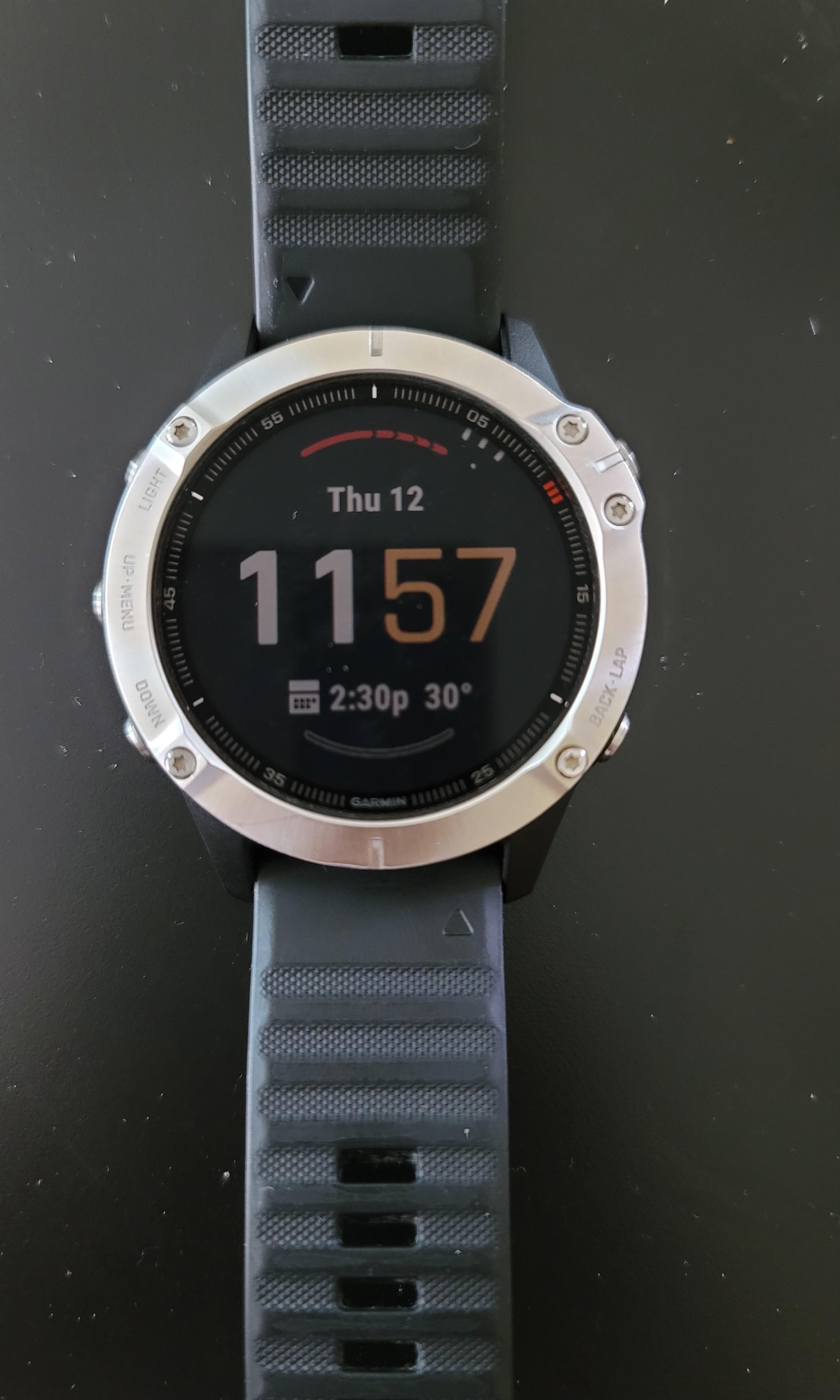 Garmin fenix silver sale