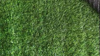 Heavy Grass Carpet