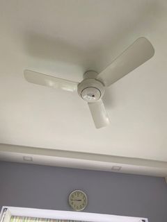 (Category: ) located in . Submitted by rn29472 (Listing ID 1106812636, Image 1). Description: .
