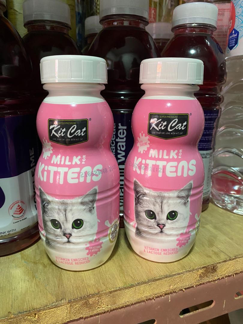 KitKat kitten milk. (6 bottles), Pet Supplies, Pet Food on Carousell