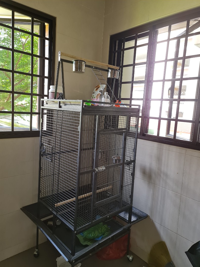 Large Bird Cage, Furniture & Home Living, Furniture, Shelves,