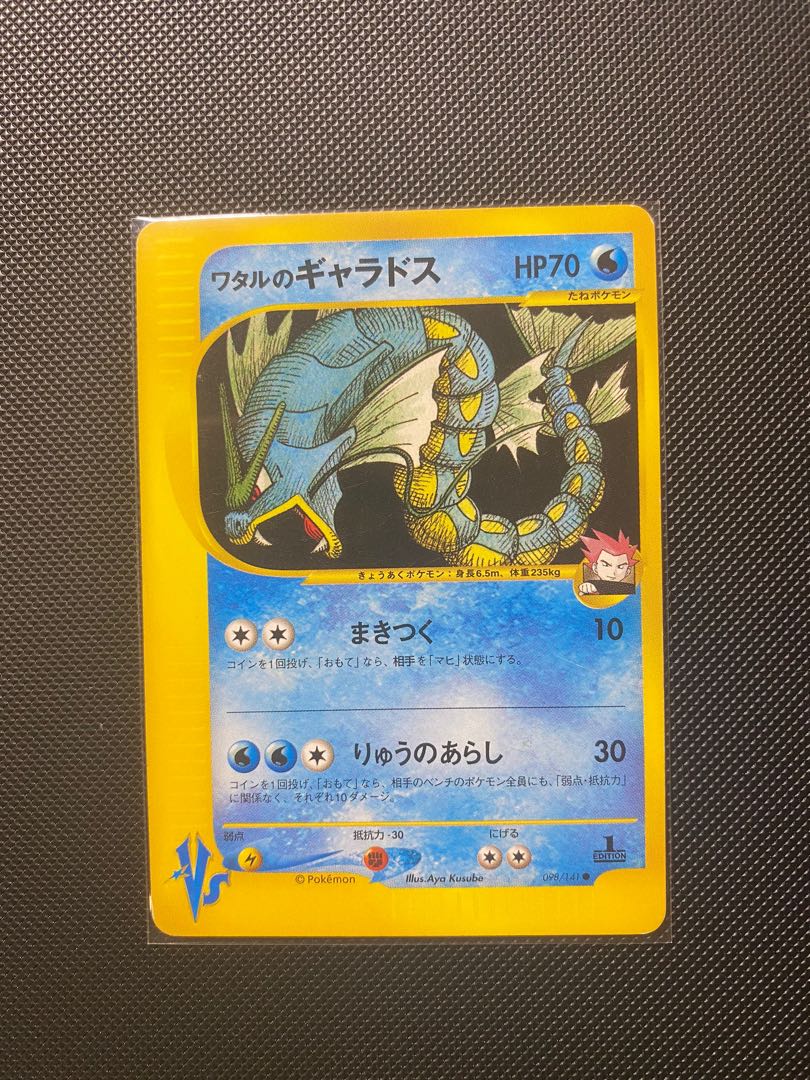 Pokemon Gyarados 509