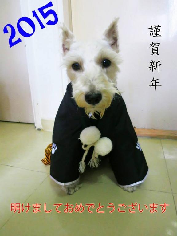 日本和服 適合中型犬 寵物用品 寵物衣服 Carousell