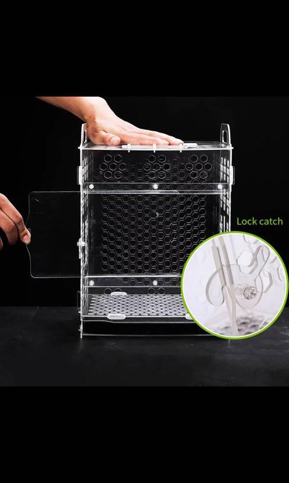 Acrylic Bird Cage - Lovebird, Budgie, Conures, Parrotlets (Category: Homes & Other Pet Accessories) located in Singapore. Submitted by wild.frostt (Listing ID 1106954198, Image 3). Description: Measurement Length : 25CM Height : 35CM Dept : 20CM INCLUSIVE • Feeder Box • Perch • Water feeder Information • First two picture are sample • Brand new stocks items •Item are dismantled and need to be fixed.