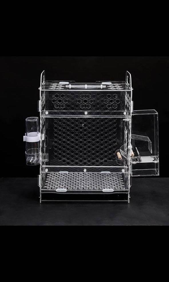 Acrylic Bird Cage - Lovebird, Budgie, Conures, Parrotlets (Category: Homes & Other Pet Accessories) located in Singapore. Submitted by wild.frostt (Listing ID 1106954198, Image 8). Description: Measurement Length : 25CM Height : 35CM Dept : 20CM INCLUSIVE • Feeder Box • Perch • Water feeder Information • First two picture are sample • Brand new stocks items •Item are dismantled and need to be fixed.