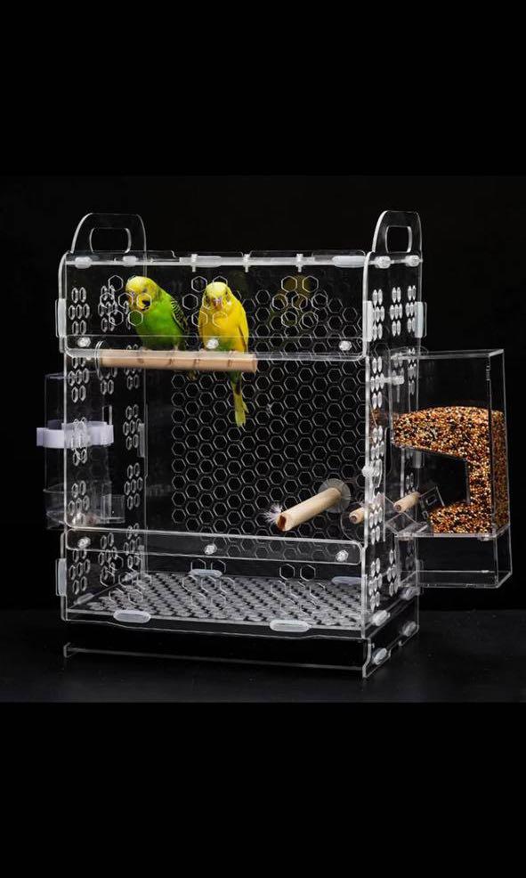 Acrylic Bird Cage - Lovebird, Budgie, Conures, Parrotlets (Category: Homes & Other Pet Accessories) located in Singapore. Submitted by wild.frostt (Listing ID 1106954198, Image 4). Description: Measurement Length : 25CM Height : 35CM Dept : 20CM INCLUSIVE • Feeder Box • Perch • Water feeder Information • First two picture are sample • Brand new stocks items •Item are dismantled and need to be fixed.