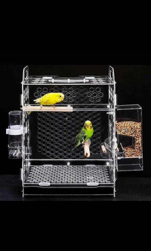 Acrylic Bird Cage - Lovebird, Budgie, Conures, Parrotlets (Category: Homes & Other Pet Accessories) located in Singapore. Submitted by wild.frostt (Listing ID 1106954198, Image 5). Description: Measurement Length : 25CM Height : 35CM Dept : 20CM INCLUSIVE • Feeder Box • Perch • Water feeder Information • First two picture are sample • Brand new stocks items •Item are dismantled and need to be fixed.