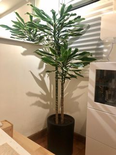 （分類：）位於 。 由 rosti1 提交（商品編號 1106940538，圖片 1）。簡介： 。
