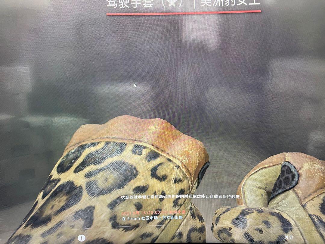 Driver glove Queen jaguar, Video Gaming, Gaming Accessories, InGame