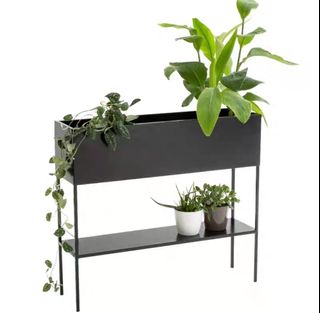 (Category: ) located in . Submitted by love.succulent (Listing ID 1106852384, Image 1). Description: .