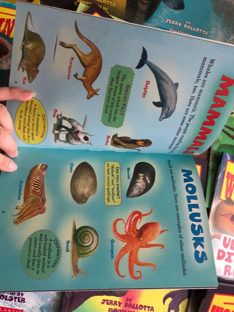 【セール】 福袋 の通販 現貨】Scholastic Who would win 24 books set 猜猜誰會贏？百科 洋書