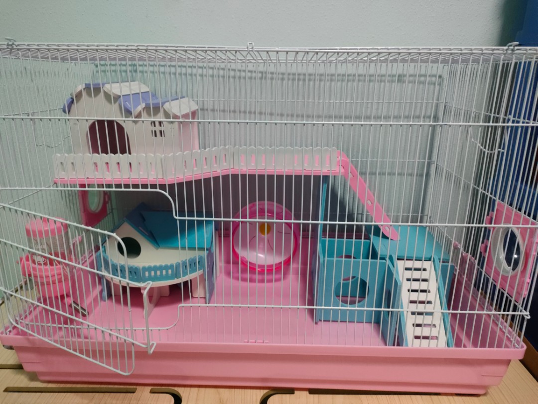 rainbow hamster cage