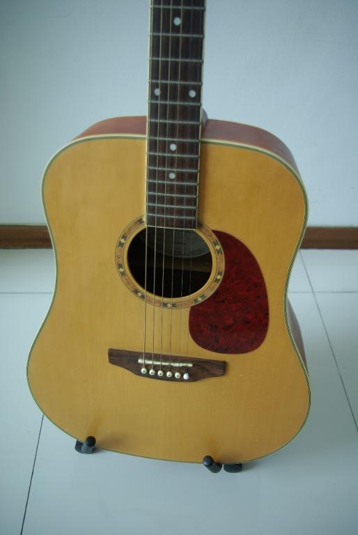 Acoustic guitar Ashton D25NTM