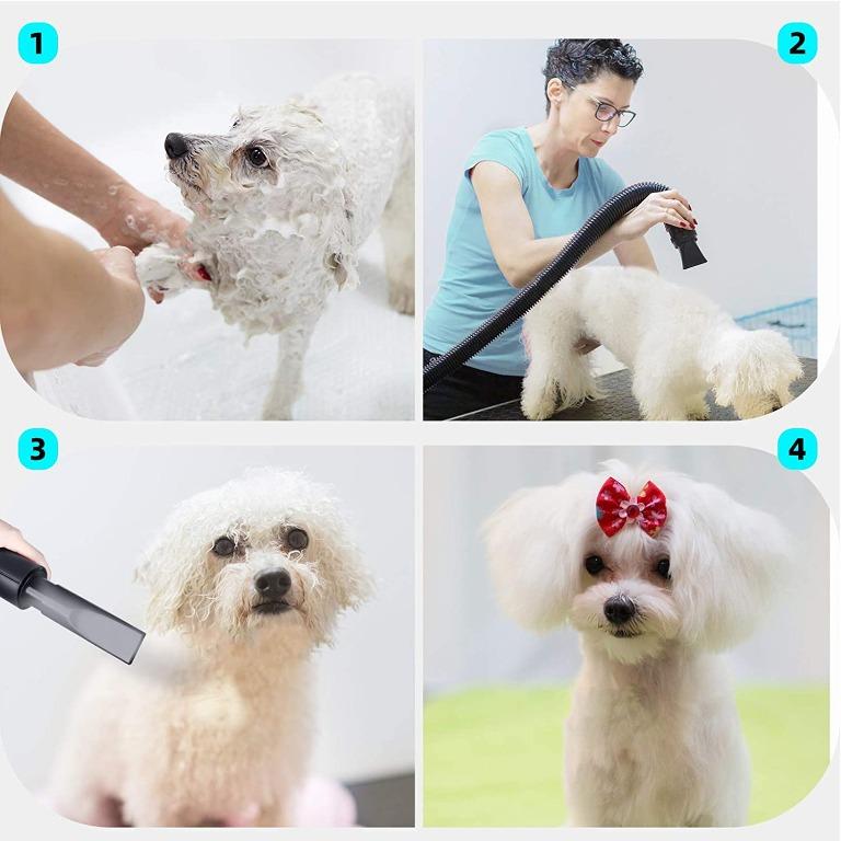 Amzdeal clearance dog dryer
