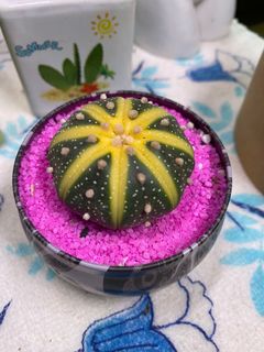 (Category: ) located in . Submitted by violet_cml (Listing ID 1107065868, Image 1). Description: .
