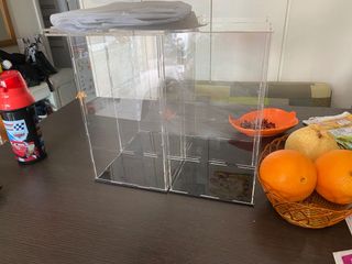 （分類：）位於 。 由 blackson11 提交（商品編號 1107199678，圖片 1）。簡介： 。