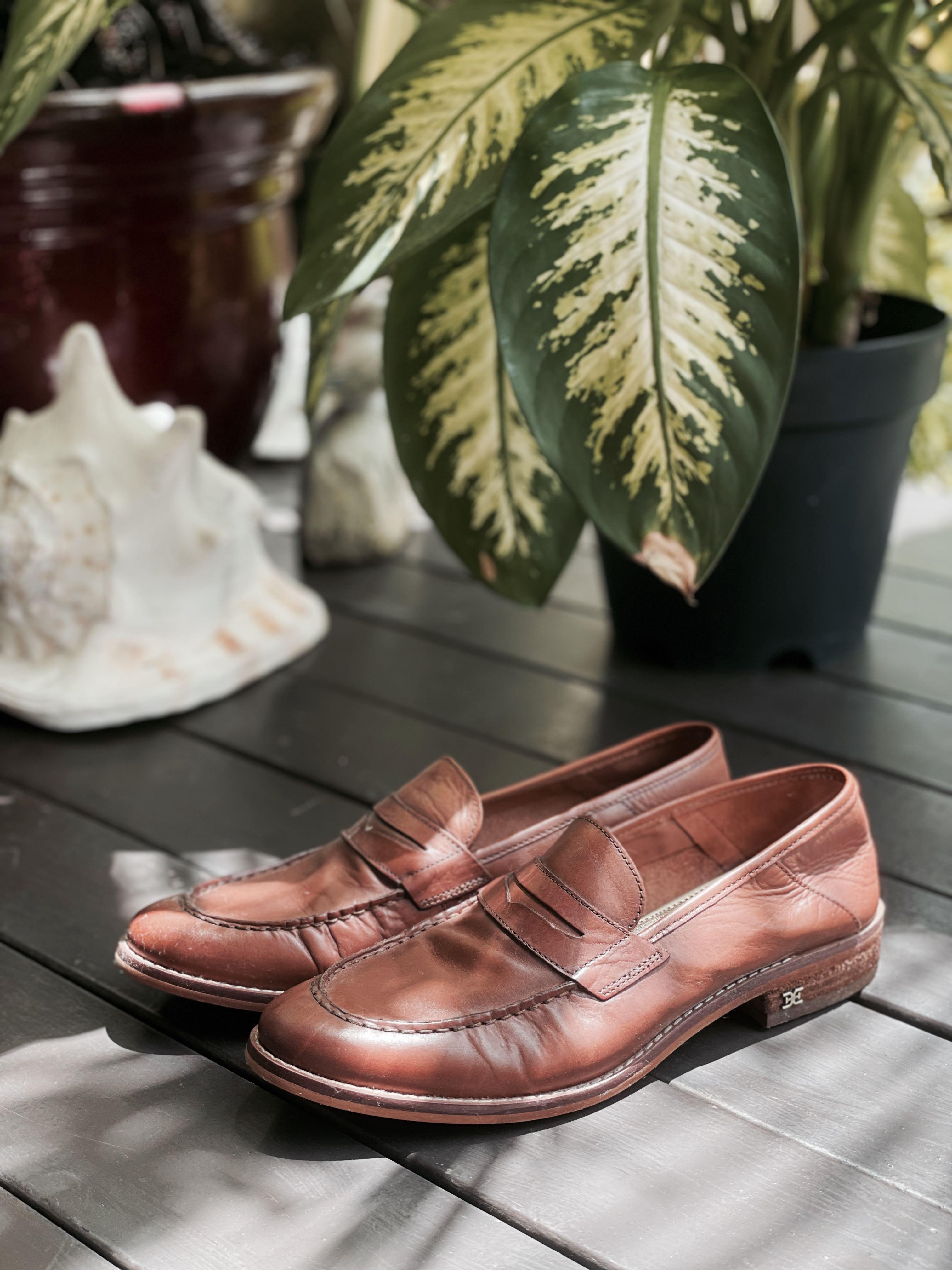 Sam edelman ackley