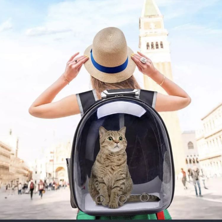 cat pod backpack