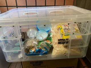 由 peterhotmouse (刊登 ID 1107120995，圖片 1) 提交，位於 的 (類別：)，說明：。