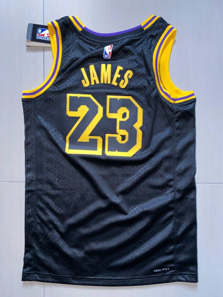 Nike LeBron James Lakers Jersey-Mamba Edition, Men's Fashion, Activewear on  Carousell