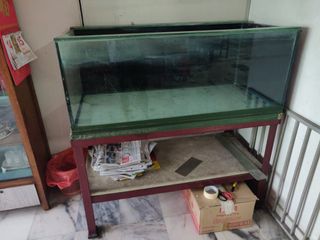 (Category: ) located in . Submitted by tanlixing195 (Listing ID 1107305861, Image 1). Description: .