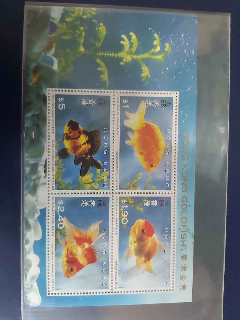 香港郵票小型張金魚 興趣及遊戲 古董收藏 收藏品及紀念品 郵票及印刷品 Carousell