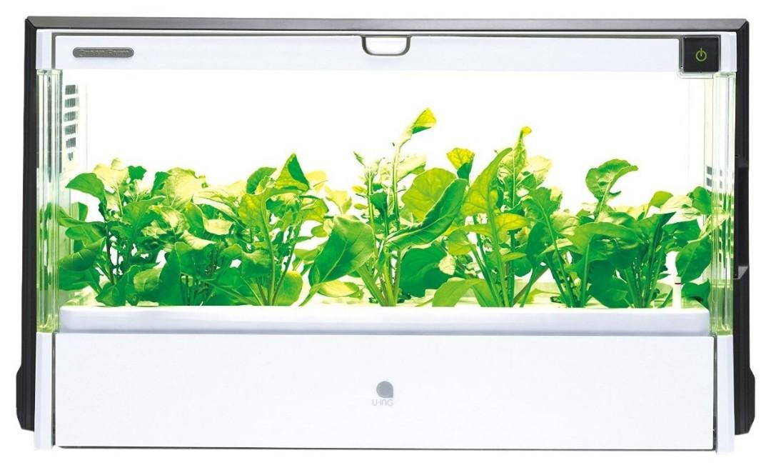 日本Green Farm 家用水耕種植種菜機LED光照半密閉全自動智能種菜機親子 