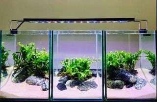 (Category: ) located in . Submitted by nathaniel24 (Listing ID 1107353269, Image 1). Description: .