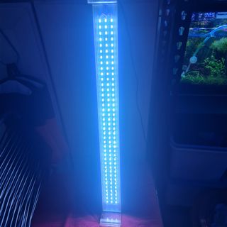 (Category: ) located in . Submitted by sunny21572002 (Listing ID 1107394807, Image 1). Description: .