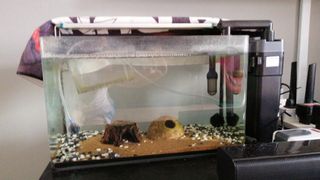 (Category: ) located in . Submitted by lynlim2020 (Listing ID 1107338149, Image 1). Description: .